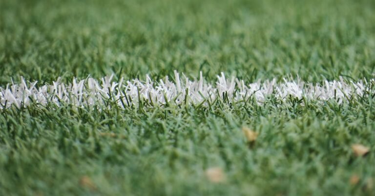 Becoming A Great Soccer Player Starts Right Here!